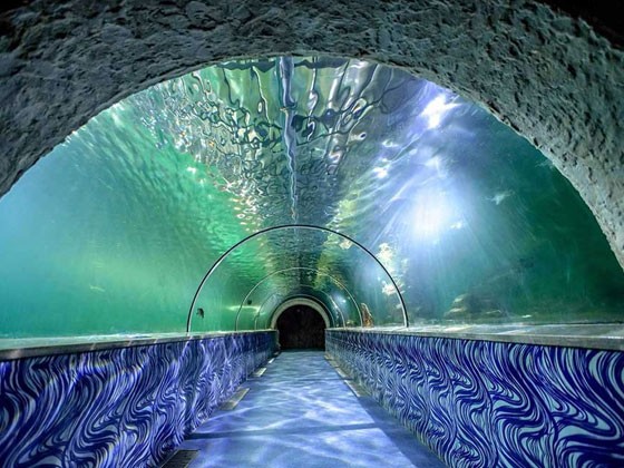 Marine World Aquarium near Guruvayur